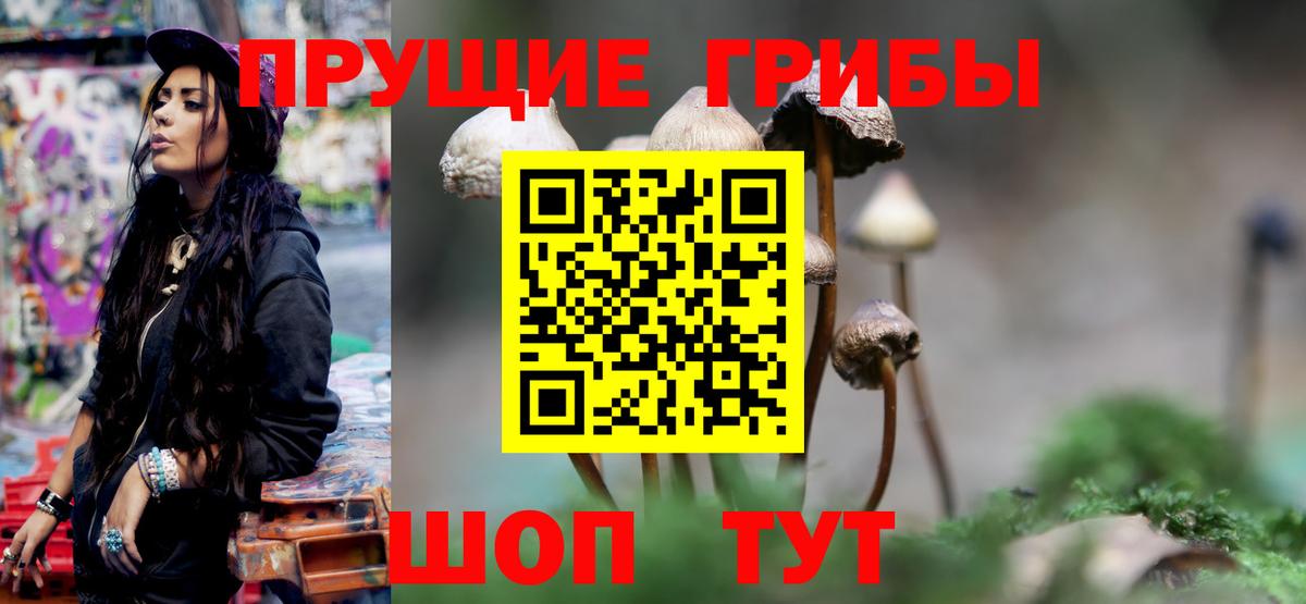 Псилоцибиновые грибы GOLDEN TEACHER  Псилоцибиновые грибы прущие грибы  Вход с VPN  Сыктывкар 